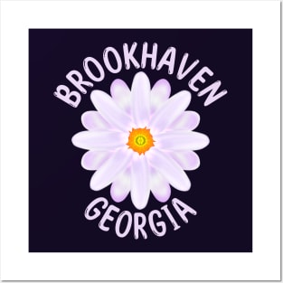 Brookhaven Georgia Posters and Art